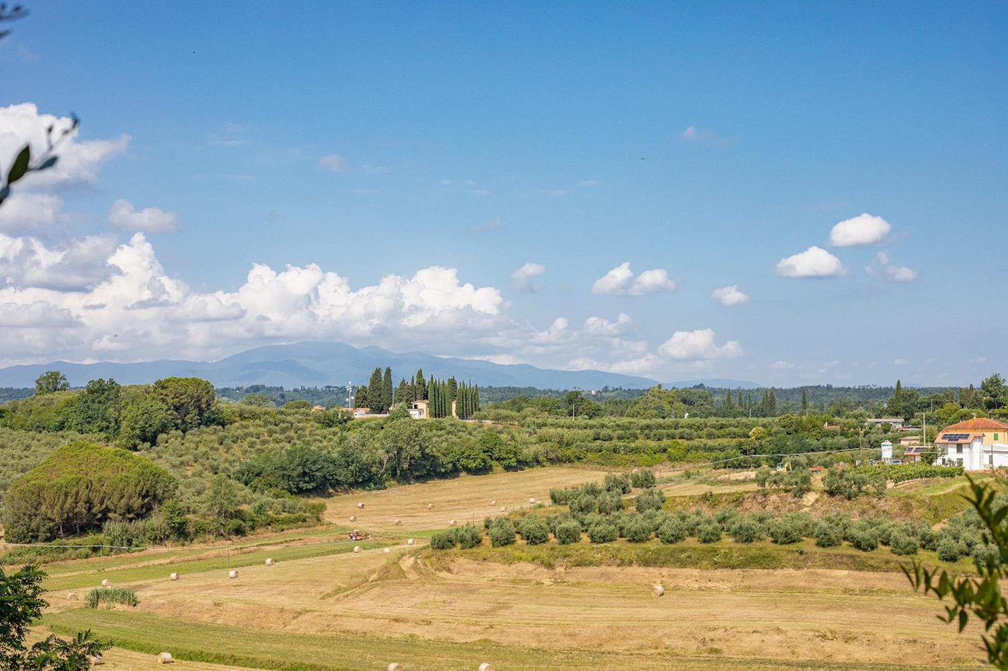 Fienile Cipresso, Art Of Living Tuscany Torre Bagian luar foto